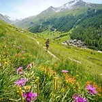 Chamois Blanc 7a - Great Views Of
