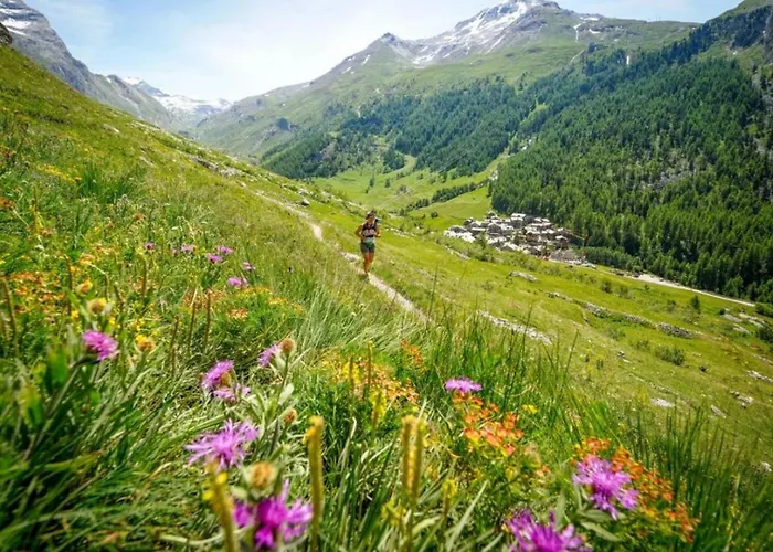 Chamois Blanc 7a - Great Views Of