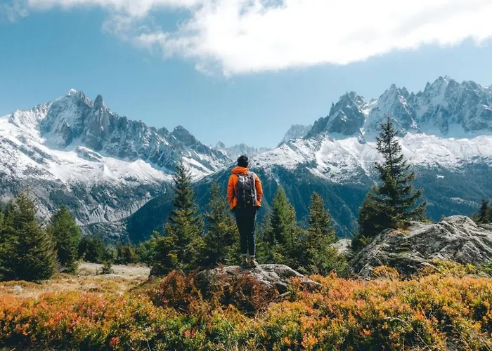 Chamois Blanc 7a - Great Views Of Апартаменты Шамони