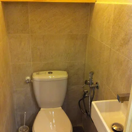 Chamois Blanc 7a - Great Views Of Σαμονί