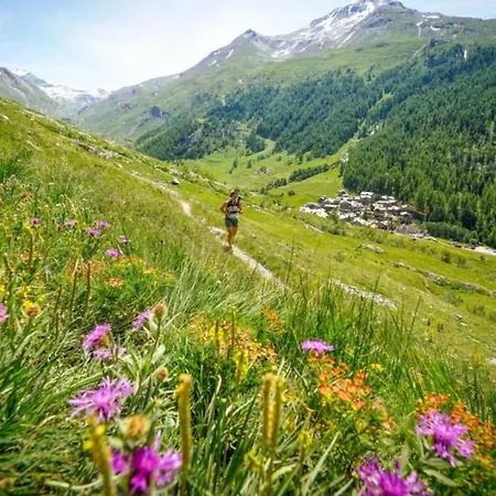 Chamois Blanc 7a - Great Views Of