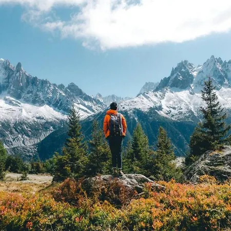 Chamois Blanc 7a - Great Views Of Διαμέρισμα Σαμονί